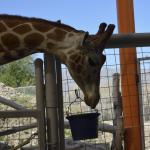 FITS_137 (May 04, 2019)